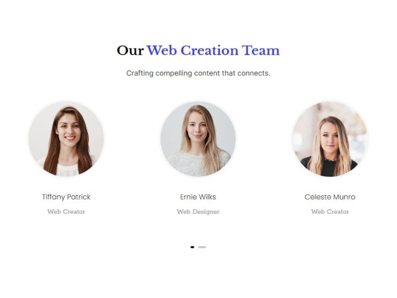 Team Member Carousel with the Overlay on Hover